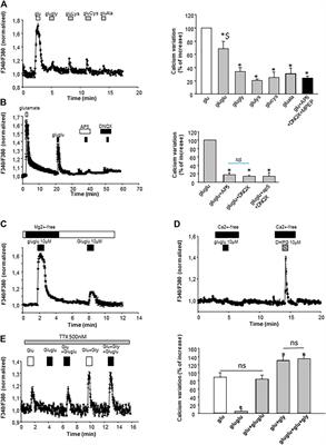 The Glutathione Metabolite γ-Glutamyl-Glutamate Partially Activates Glutamate NMDA Receptors in Central Neurons With Higher Efficacy for GluN2B-Containing Receptors